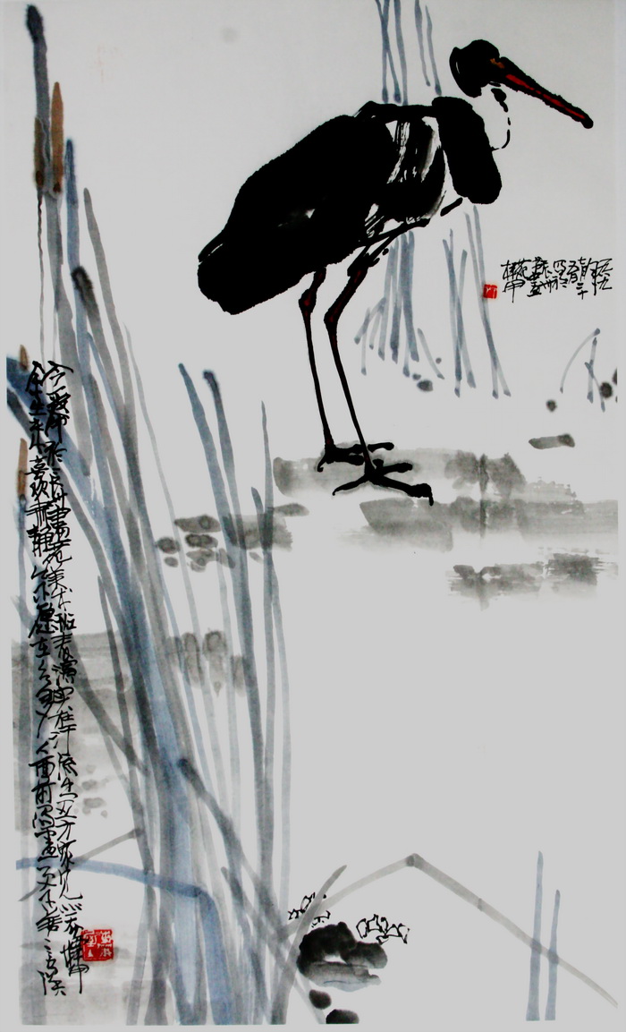 鹈鹕 有与   